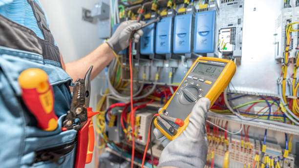 Best Electric Panel Repair  in Windsor, IL