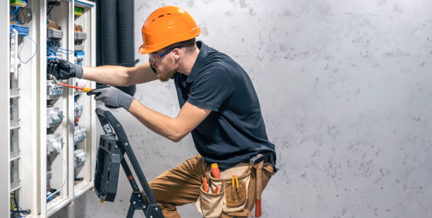Best Electrical System Inspection  in Windsor, IL